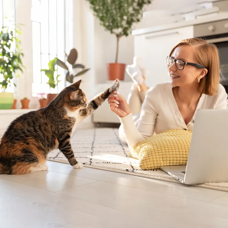 Frau mit Katze. Frau mit Katze.